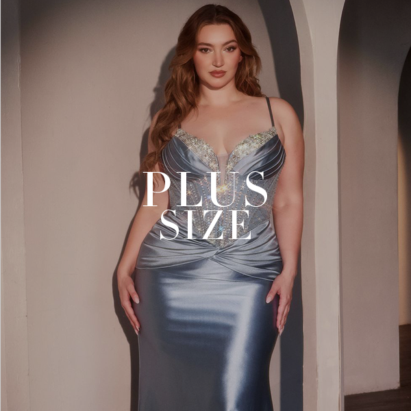 Plus Size Dresses
